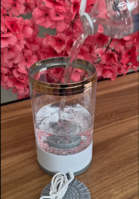 Nettoyeur de pinceaux électrique
